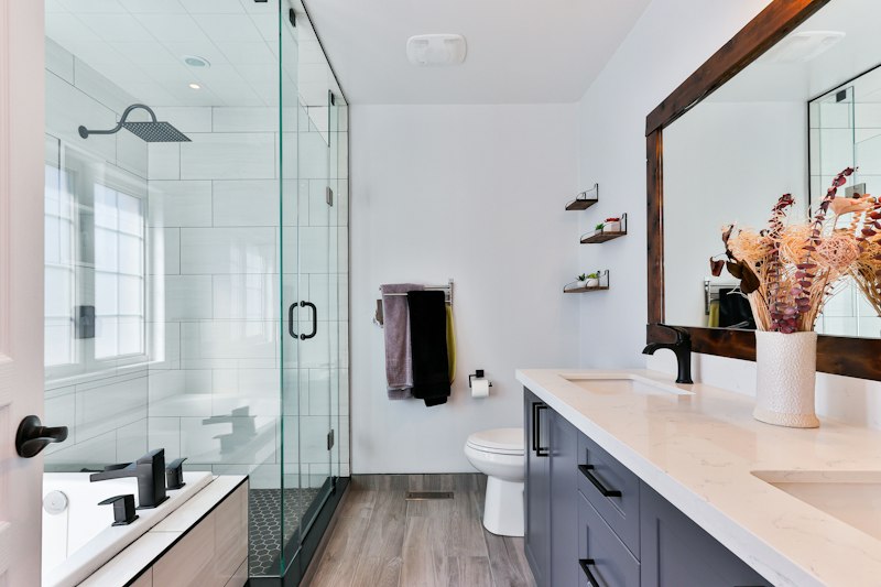 Bathroom Shower and Sanitary Fixture Plumbing